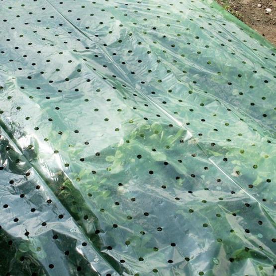 Pflanzfolie grün gelocht 1,5x10 m Frühbeet Pflanzenfolie 